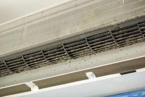 Best Ventilation Cleaning Services  in Franklin, LA